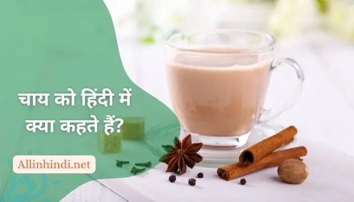 Chai ko hindi mein kya kahate hain | चाय को हिंदी में क्या कहते हैं?