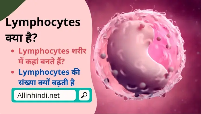 Lymphocytes in hindi | lymphocytes क्या है?